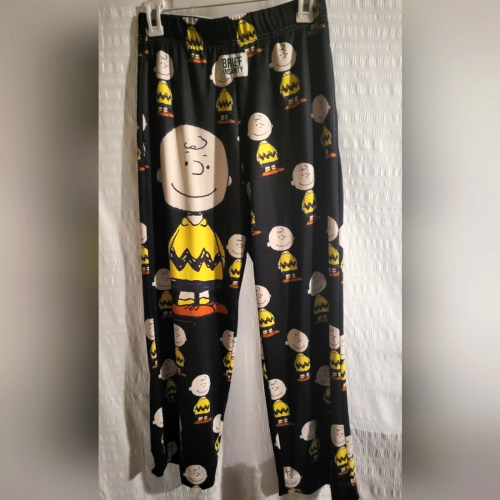 Brief Insanity Charlie Brown lounge pants.  Comfy. Small. Peanuts
